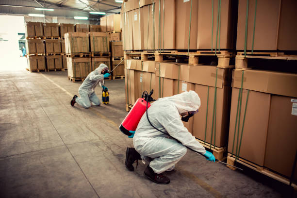 Best Pest Control Cost  in Duquesne, MO
