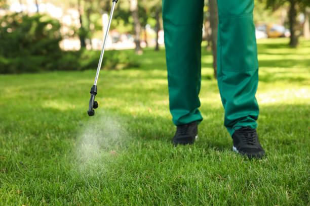 Best Termite Control Services  in Duquesne, MO