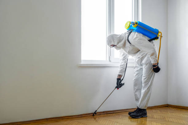 Best Best Pest Control Companies  in Duquesne, MO