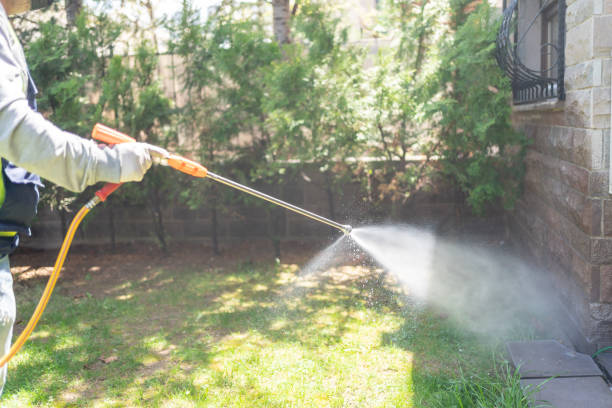 Best Mosquito Control Services  in Duquesne, MO