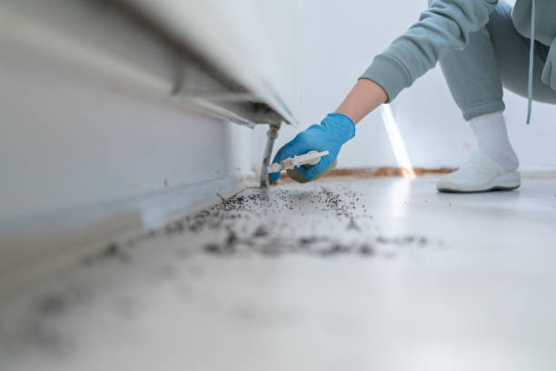 Best Affordable Pest Control Services  in Duquesne, MO